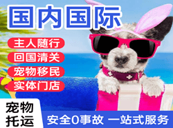 玉树巴塘国际宠物托运 【国